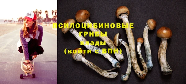 соль ск Белокуриха