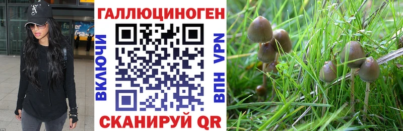 Купить Иркутск Псилоцибиновые грибы мухоморы